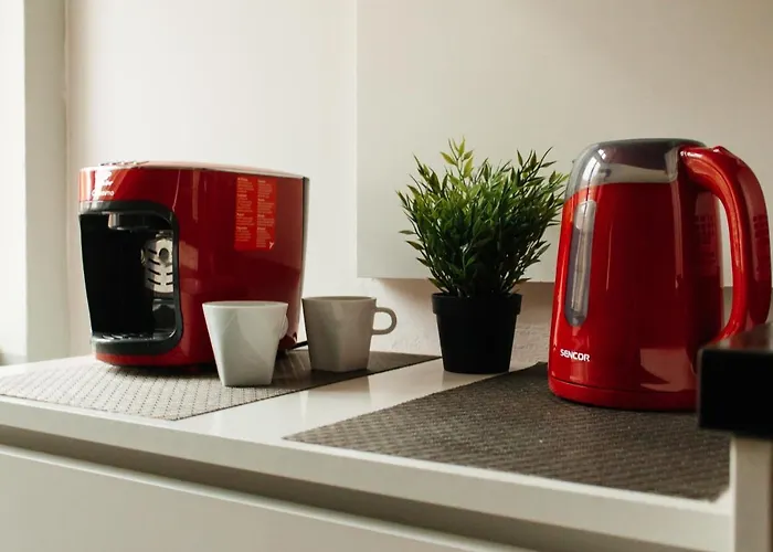 Apartament Savor *